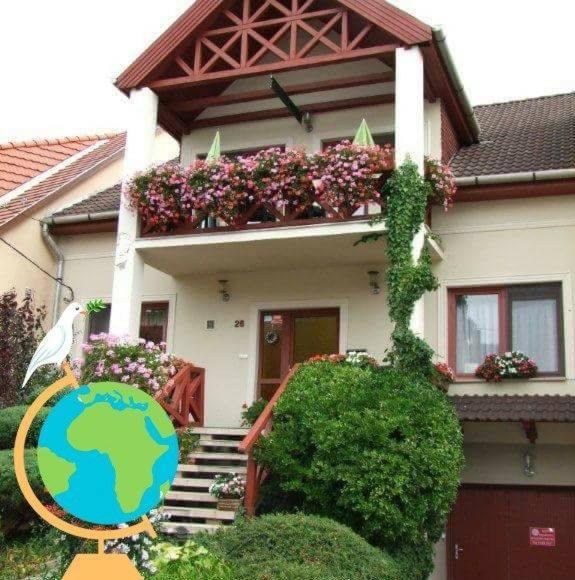 Siesta Vendeghaz Будинок відпочинку *