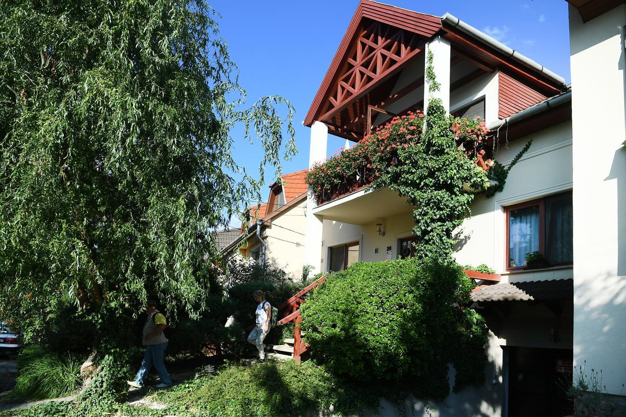 Siesta Vendeghaz Holiday home *